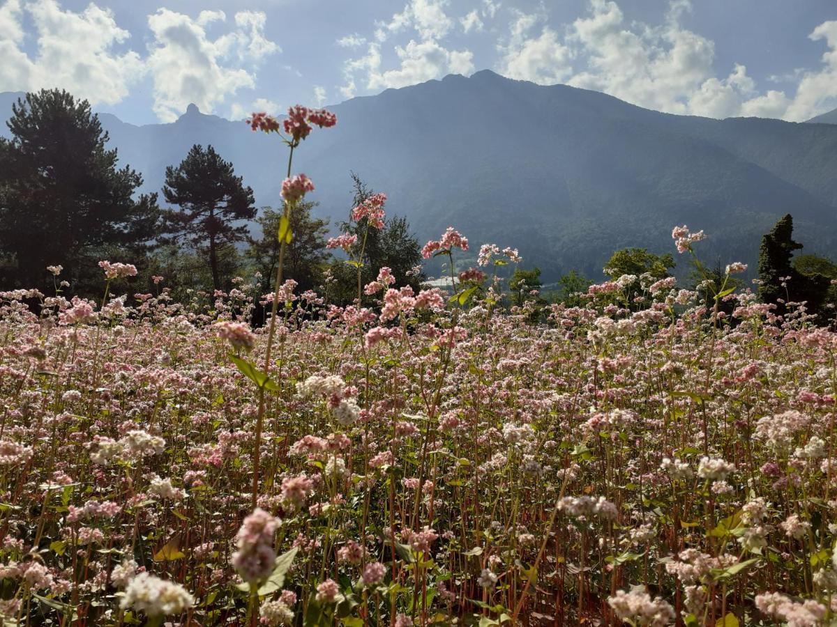 Drena Coste Del Gaggio - Country House B&B - Garda Trentino المظهر الخارجي الصورة